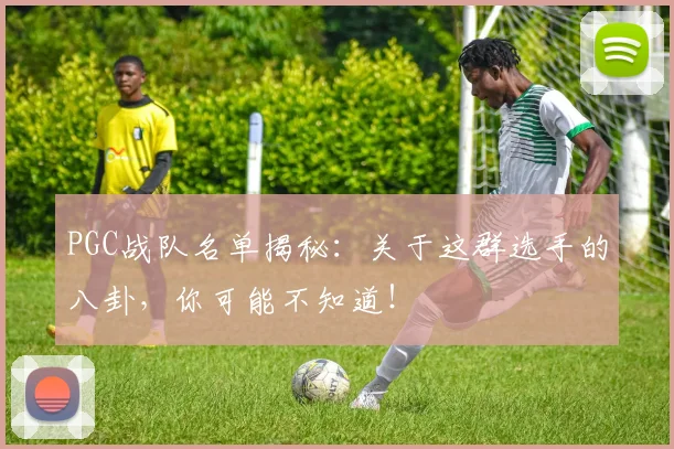 PGC战队名单揭秘:关于这群选手的八卦,你可能不知道!
